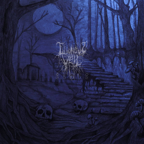 Luminous Veil : Clair